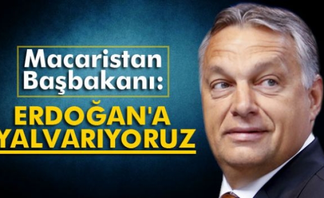 Macaristan Başbakanı: 'Cumhurbaşkanı Erdoğan'a yalvarıyoruz'