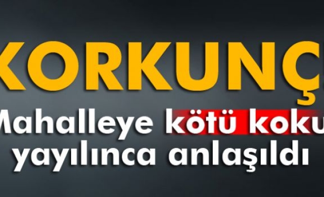 Mahalleye kötü koku yayılınca öldüğü anlaşıldı