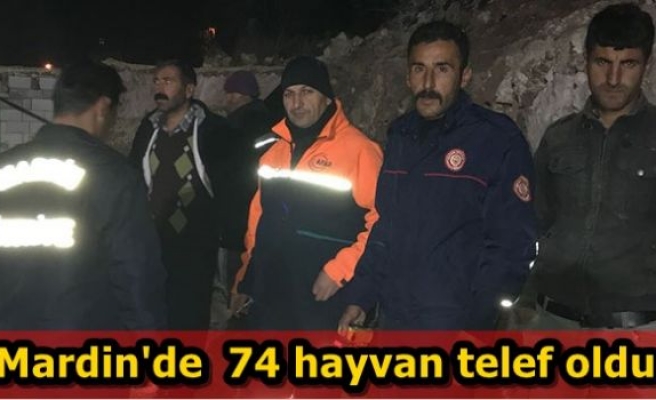 Mardin'de 74 Hayvan Telef Oldu