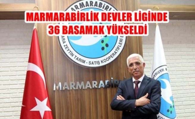 Marmarabirlik Devler Liginde 36 Basamak Yükseldi