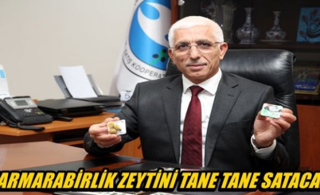 Marmarabirlik zeytini tane tane satacak