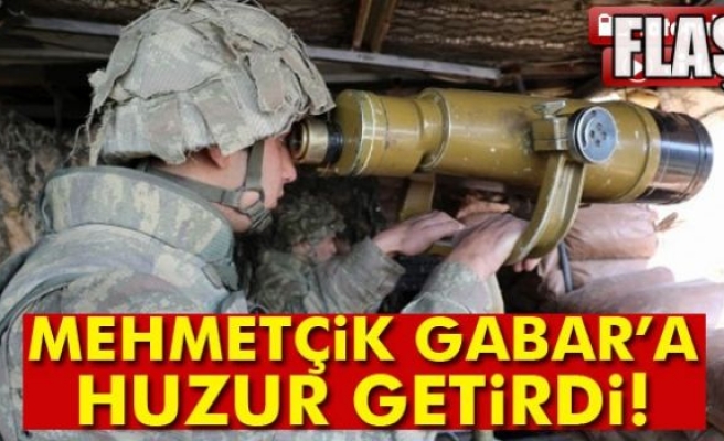 Mehmetçik Gabar'a Huzur Getirdi!