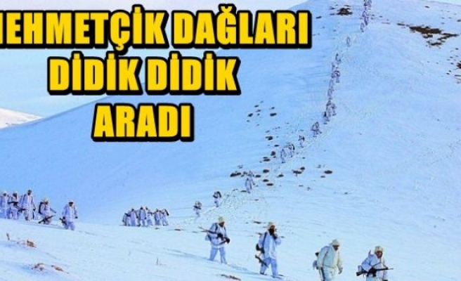 Mehmetçik karlı dağları didik didik aradı!