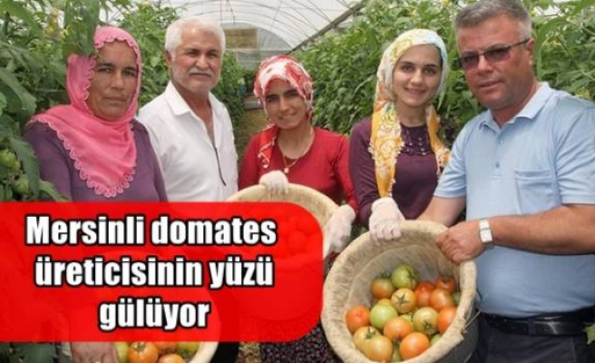 Mersinli domates üreticisinin yüzü gülüyor