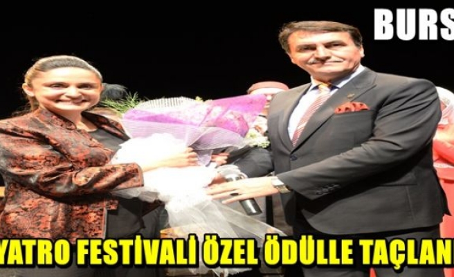 Meslek Tiyatrolarına Özel Ödül