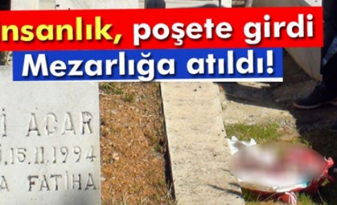 Mezarlıkta bebek cesedi bulundu