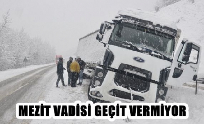 Mezit vadisi geçit vermiyor