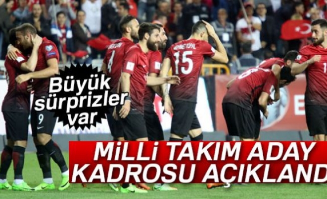 Milli Takım aday kadrosu açıklandı!