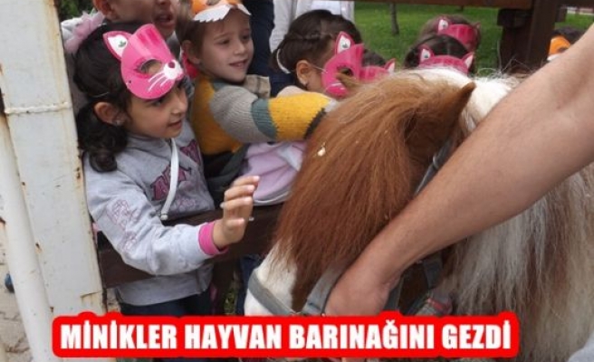 Minikler Hayvan Barınağını Gezdi