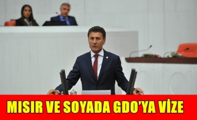 Mısır ve soyada GDO'ya vize