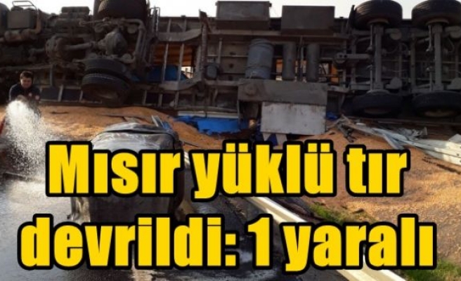 Mısır yüklü tır devrildi: 1 yaralı