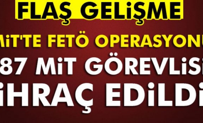 MİT'te FETÖ operasyonu