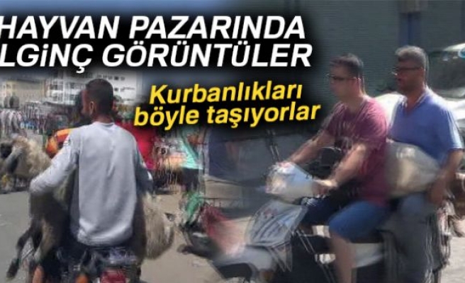 Motosikletle kurban taşıyorlar