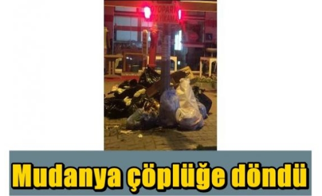 Mudanya çöplüğe döndü