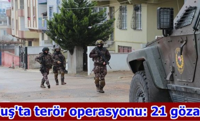 Muş'ta terör operasyonu: 21 gözaltı