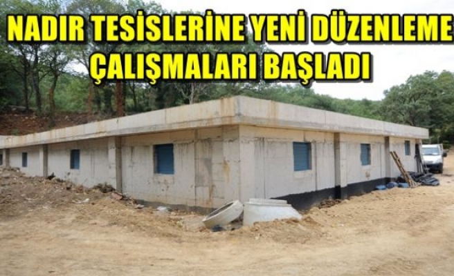 NADIR TESİSLERİNE YENİ DÜZENLEME ÇALIŞMALARI BAŞLADI