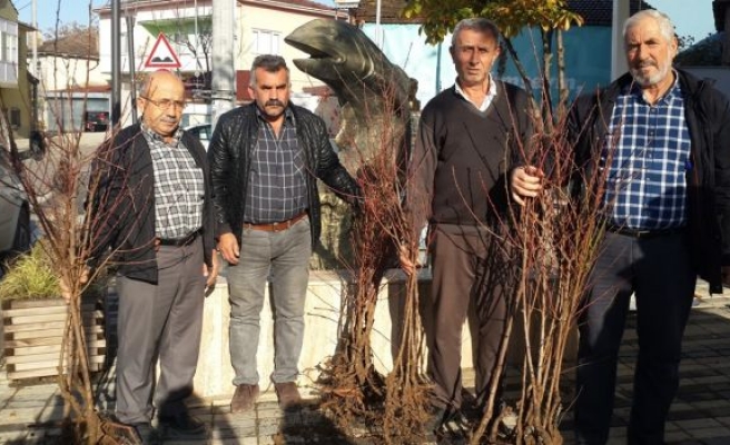 Nilüfer Belediyesi’nden çiftçiye meyve fidanı