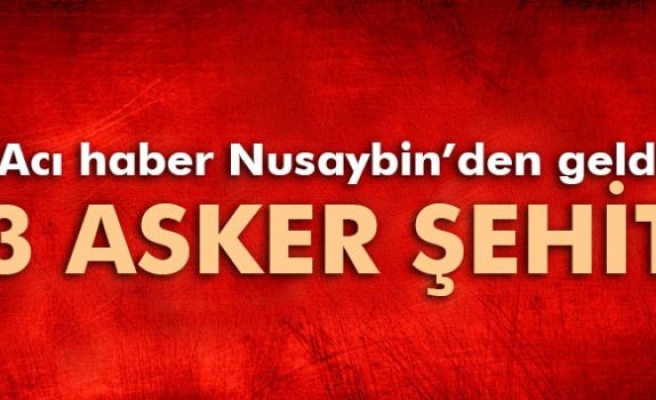 Nusaybin'den acı haber: 3 asker şehit