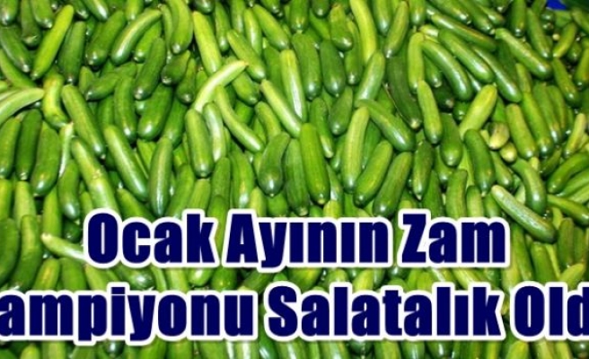 Ocak ayının zam şampiyonu salatalık oldu