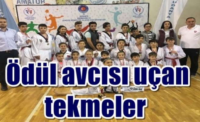  Ödül avcısı uçan tekmeler 