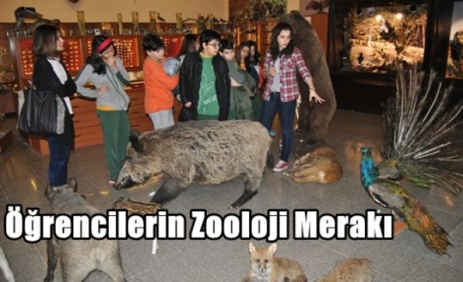 Öğrencilerin Zooloji Merakı