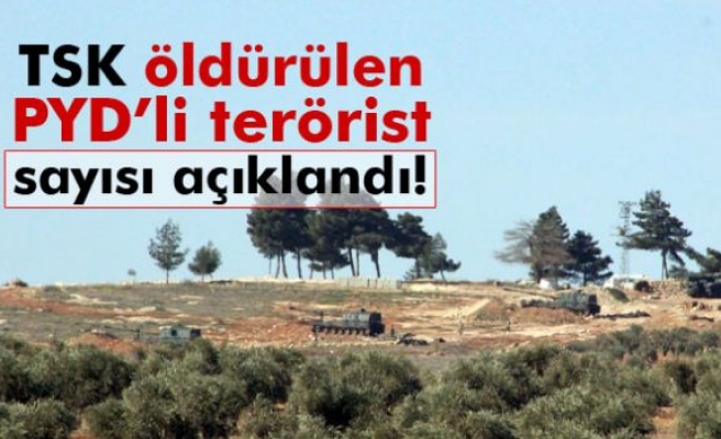 Öldürülen PYD'li terörist sayısı açıklandı!