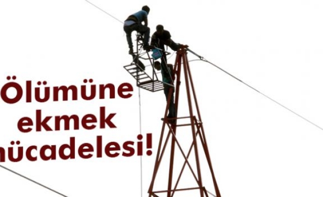 Ölümüne ekmek mücadelesi!