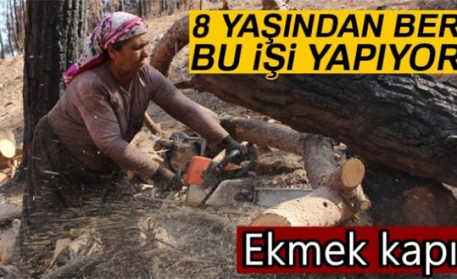 Onların ekmek kapısı: Yanan ormanlar!