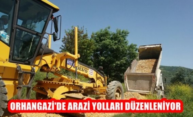 Orhangazi'de Arazi Yolları Düzenleniyor