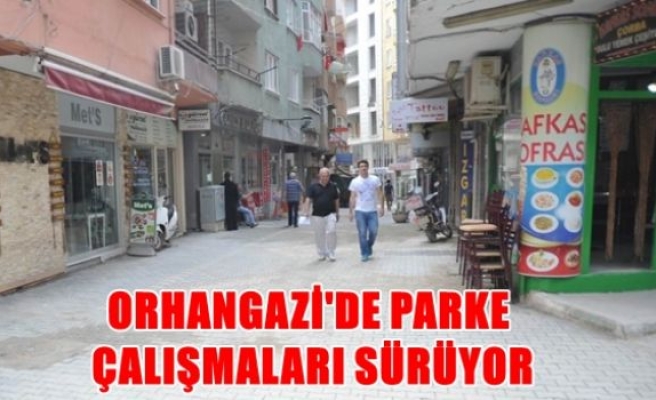 Orhangazi'de parke çalışmaları sürüyor