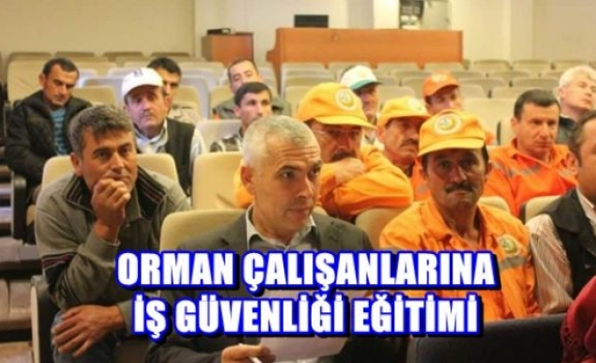 Orman Çalışanlarına İş Güvenliği Eğitimi