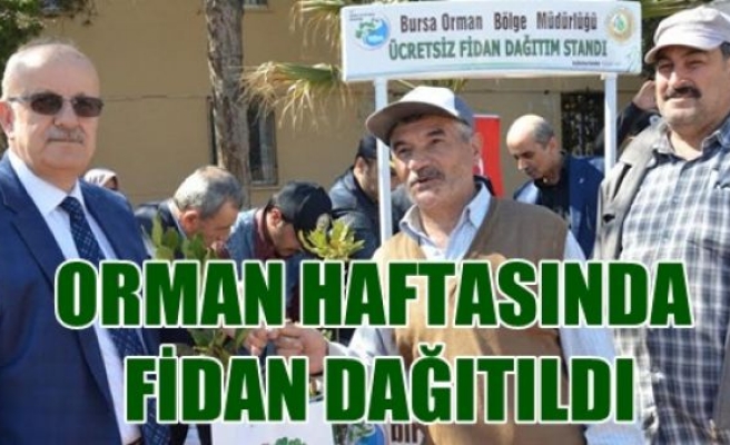 ORMAN HAFTASINDA FİDAN DAĞITILDI