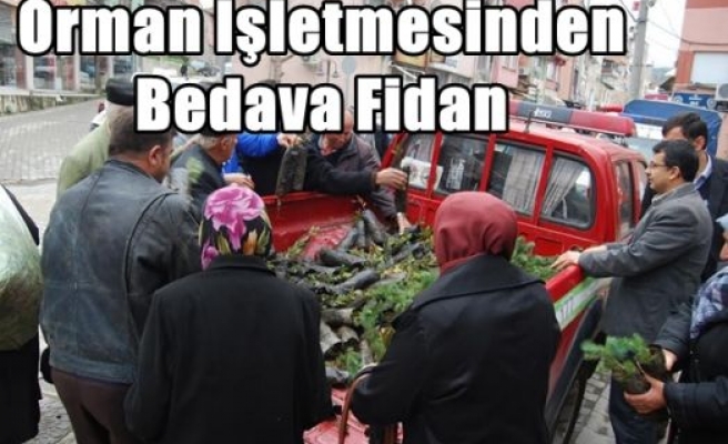 Orman İşletmesinden Bedava Fidan