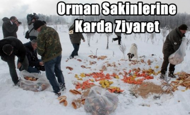 Orman Sakinlerine Karda Ziyaret