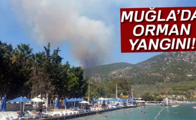 Orman yangını çıktı!