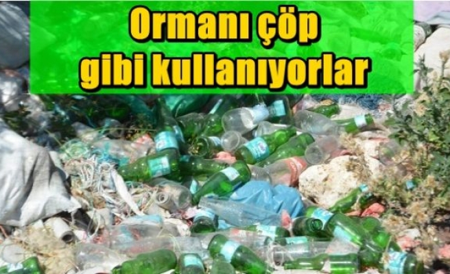 Ormanı çöp gibi kullanıyorlar