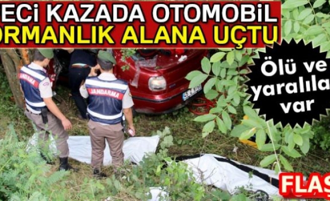 ORMANLIK ALANA UÇTU!