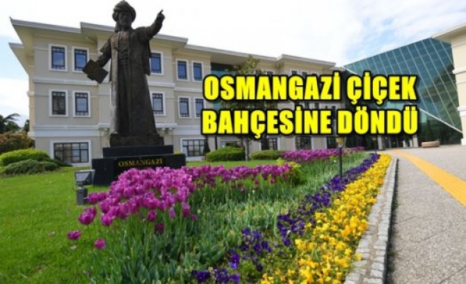 Osmangazi Çiçek Bahçesine Döndü