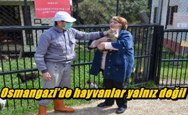 Osmangazi’de hayvanlar yalnız değil