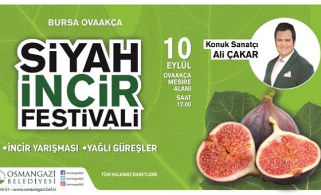 Osmangazi’de Siyah İncir Festivali 