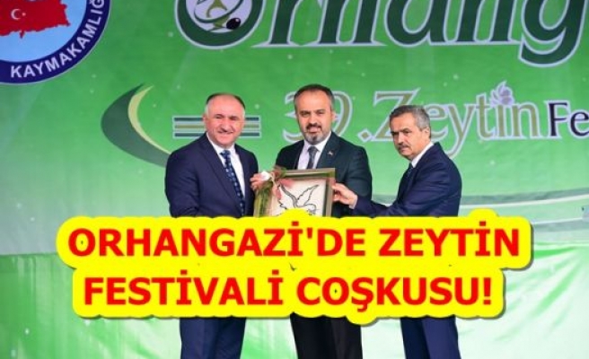 Orhangazi'de Zeytin Festivali Coşkusu!