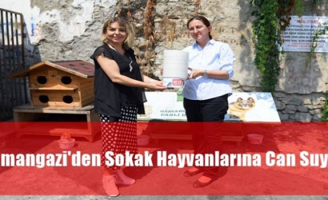 Osmangazi'den Sokak Hayvanlarına Can Suyu