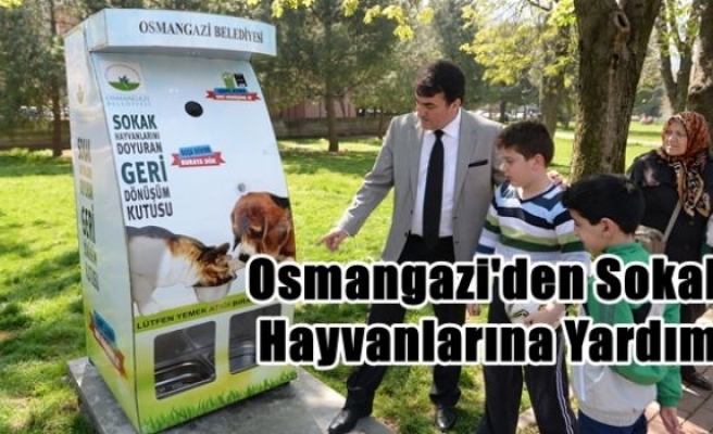 Osmangazi'den Sokak Hayvanlarına Yardım