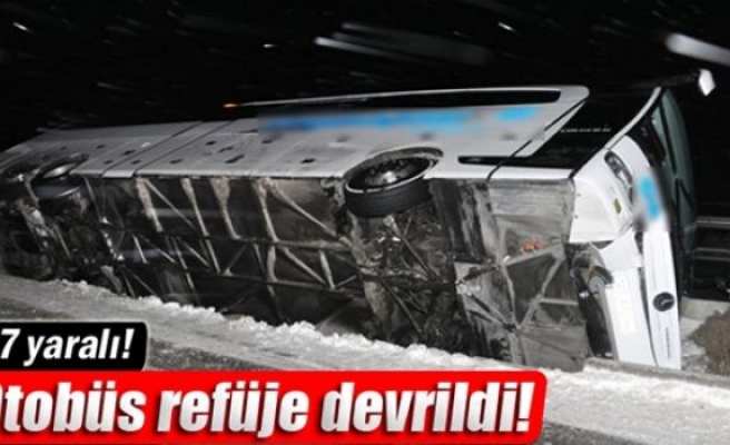 Otobüs refüje devrildi: 7 yaralı