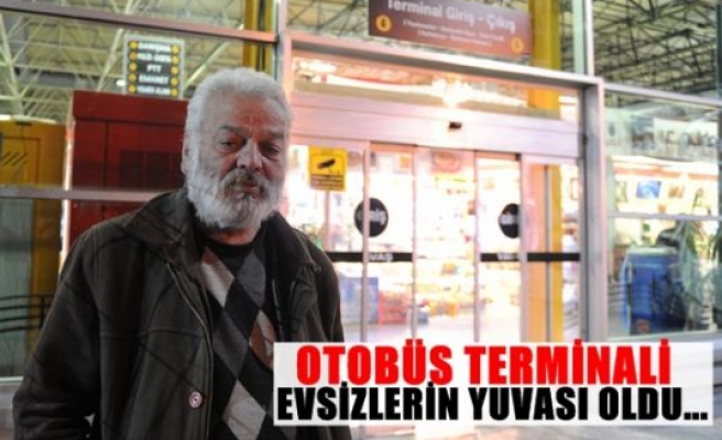 Otobüs terminali evsizlerin yuvası oldu...