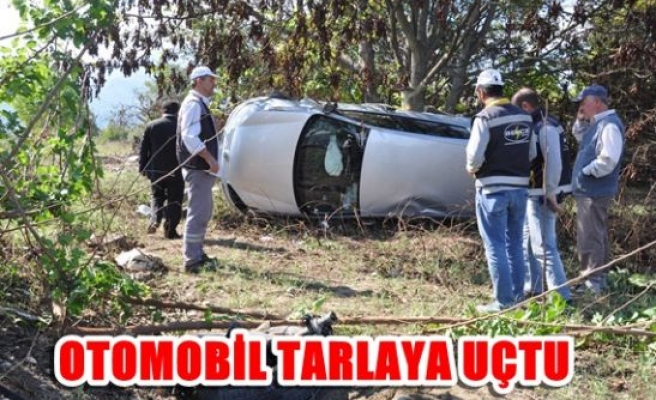 Otomobil tarlaya uçtu