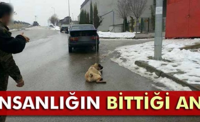 Otomobilinin arkasına bağladığı köpeğini sürükledi