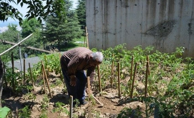 Hastaneyi Hobi Bahçesine Çevirdi