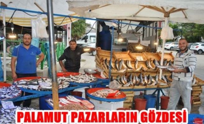 Palamut pazarların gözdesi