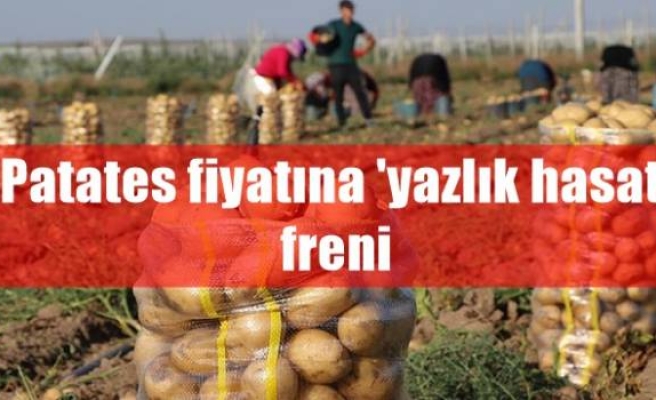 Patates fiyatına 'yazlık hasat' freni